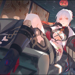 This is a pixiv picture whose title is Punishing Grey Raven.