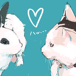 This is a pixiv picture whose title is うさぎと猫が出会う時。.