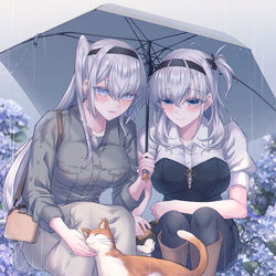 This is a pixiv picture whose title is 雨と猫と冬涼.