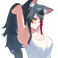 This is a pixiv picture whose title is ポニーテール.