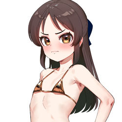 This is a pixiv picture whose title is 金マイクロビキニありす.