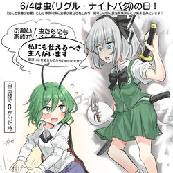 This is a pixiv picture whose title is 6/4は虫(リグル・ナイトバグ)の日！.