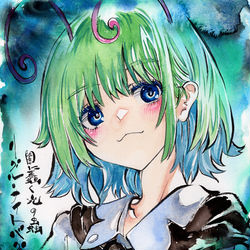 This is a pixiv picture whose title is リグル・ナイトバグ.
