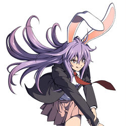 This is a pixiv picture whose title is 狂気の月の兎.