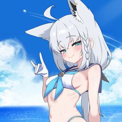 This is a pixiv picture whose title is 夏のフブさん.