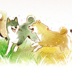 This is a pixiv picture whose title is 春夏秋冬.