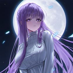 This is a pixiv picture whose title is フェルン.