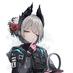 This is a pixiv picture whose title is Raidian.