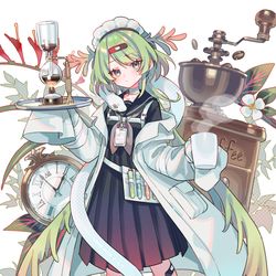 This is a pixiv picture whose title is ネフロレピス.
