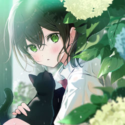This is a pixiv picture whose title is 「急な雨に降られて。」.
