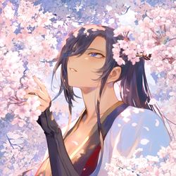This is a pixiv picture whose title is 神楽と桜.