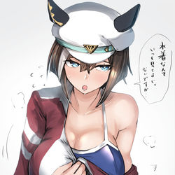 This is a pixiv picture whose title is シュヴァルグラン　水着.