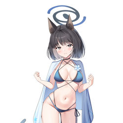 This is a pixiv picture whose title is キキョウ.
