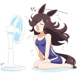 This is a pixiv picture whose title is ライスと扇風機.