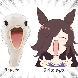This is a pixiv picture whose title is ライスと無人島シナリオ.