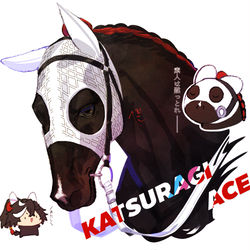 This is a pixiv picture whose title is カツラギエース号.