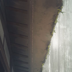 This is a pixiv picture whose title is 夕立.
