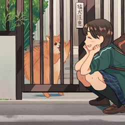 This is a pixiv picture whose title is 猛犬注意.