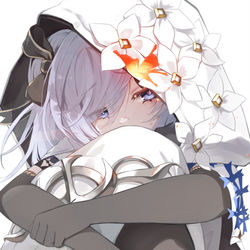 This is a pixiv picture whose title is エーデルワイス.