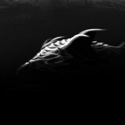 This is a pixiv picture whose title is Undersea.