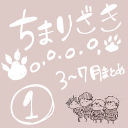 This is a pixiv picture whose title is ちまりざき①.