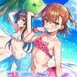 This is a pixiv picture whose title is C106の表紙イラストになります.
