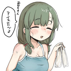 This is a pixiv picture whose title is 暑中見舞い.