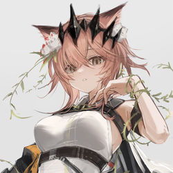 This is a pixiv picture whose title is ヴァンデラ.