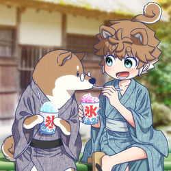 This is a pixiv picture whose title is 知能が高過ぎる柴犬とかき氷！.