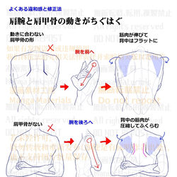 This is a pixiv picture whose title is 個人メモ：肩甲骨の動き.
