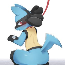 This is a pixiv picture whose title is ルカリオ.