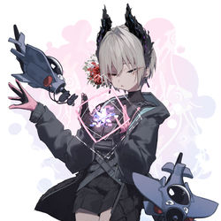 This is a pixiv picture whose title is Raidian.