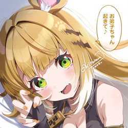 This is a pixiv picture whose title is 🐯チーフーフー「お弟子ちゃん起きて♪ 修行の時間ですよ💛」.