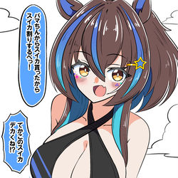 This is a pixiv picture whose title is ダイタクヘリオスはスイカ割りをしたい.