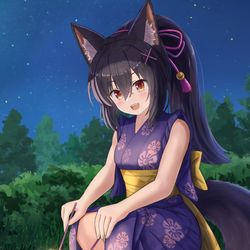 This is a pixiv picture whose title is 花火を愉しんでいる浴衣姿の狼娘.
