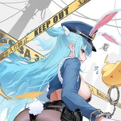 This is a pixiv picture whose title is 🐰👮🏻‍♀️⛓️🙌.