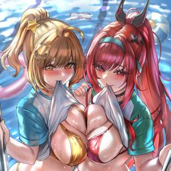 This is a pixiv picture whose title is 水着ラピ＆アニス.