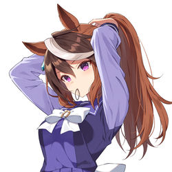 This is a pixiv picture whose title is ポニテ会長.