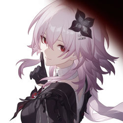 This is a pixiv picture whose title is 长夜月 Evernight.