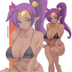 This is a pixiv picture whose title is Shantae.
