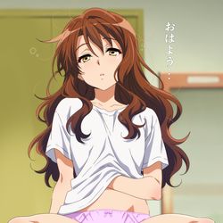 This is a pixiv picture whose title is (＿ ＿*) Z z z.