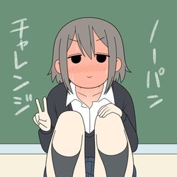 This is a pixiv picture whose title is ノーパンチャレンジ.