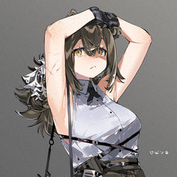 This is a pixiv picture whose title is ロビンロビン.