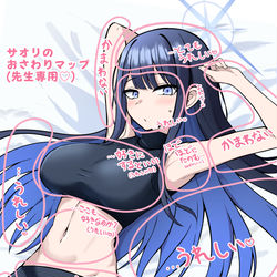 This is a pixiv picture whose title is サオリのおさわりマップ.