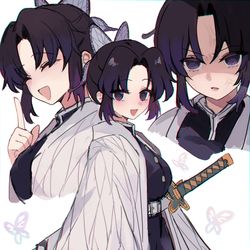 This is a pixiv picture whose title is 胡蝶 しのぶ.