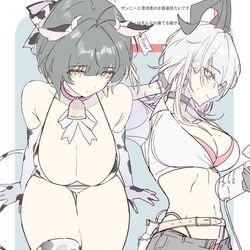 This is a pixiv picture whose title is ザンニー×漂泊者.