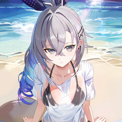 This is a pixiv picture whose title is 銀狼.