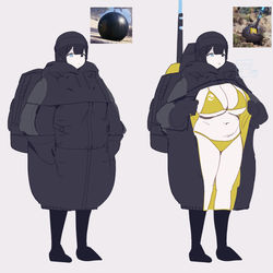 This is a pixiv picture whose title is Surveyor.