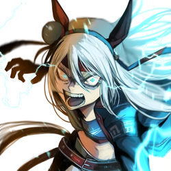 This is a pixiv picture whose title is 白い稲妻.