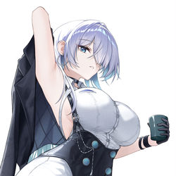 This is a pixiv picture whose title is NIKKE Brid - Silent Track.